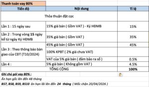 tiến độ thanh toán vay option 3 the tropical