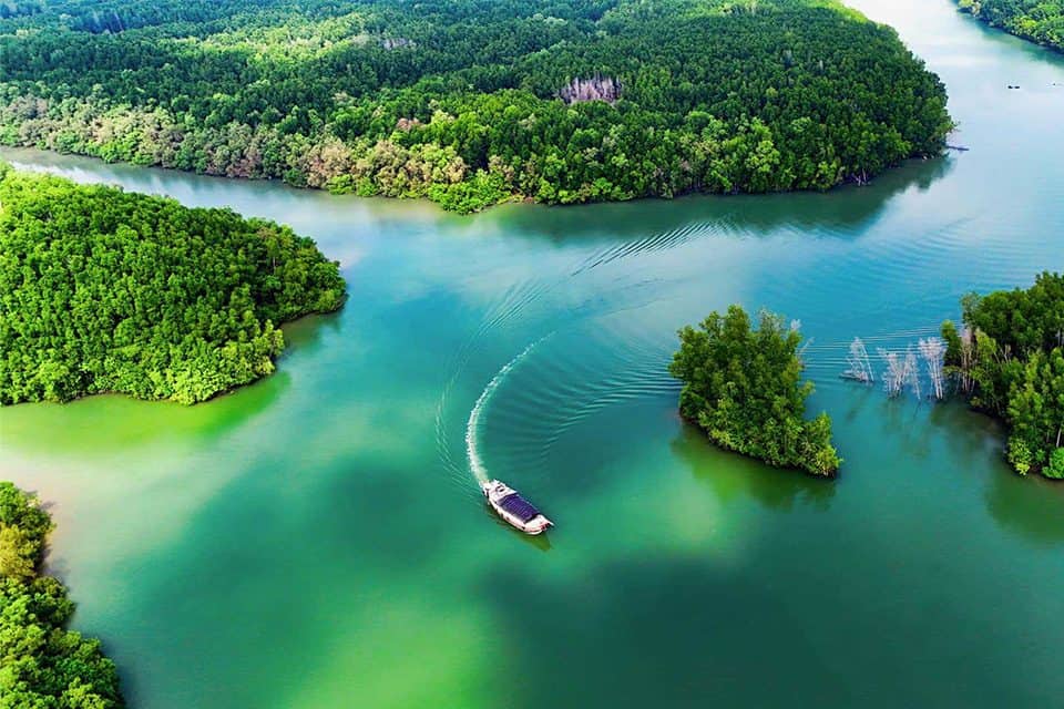 hình ảnh rừng ngập cần giờ